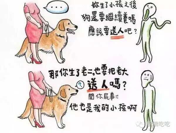 谁说怀孕不能养狗,被打脸啪啪啪了吧-怀孕期