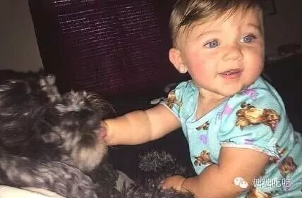 谁说怀孕不能养狗,被打脸啪啪啪了吧-怀孕期