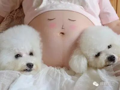 谁说怀孕不能养狗,被打脸啪啪啪了吧-怀孕期