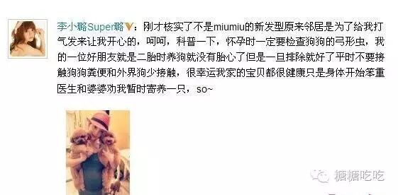 谁说怀孕不能养狗,被打脸啪啪啪了吧-怀孕期