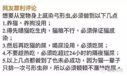 谁说怀孕不能养狗,被打脸啪啪啪了吧-怀孕期