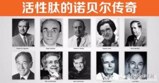 近30年有数十位科学家因为发现肽的各种奥秘给人类健康带来巨大贡献