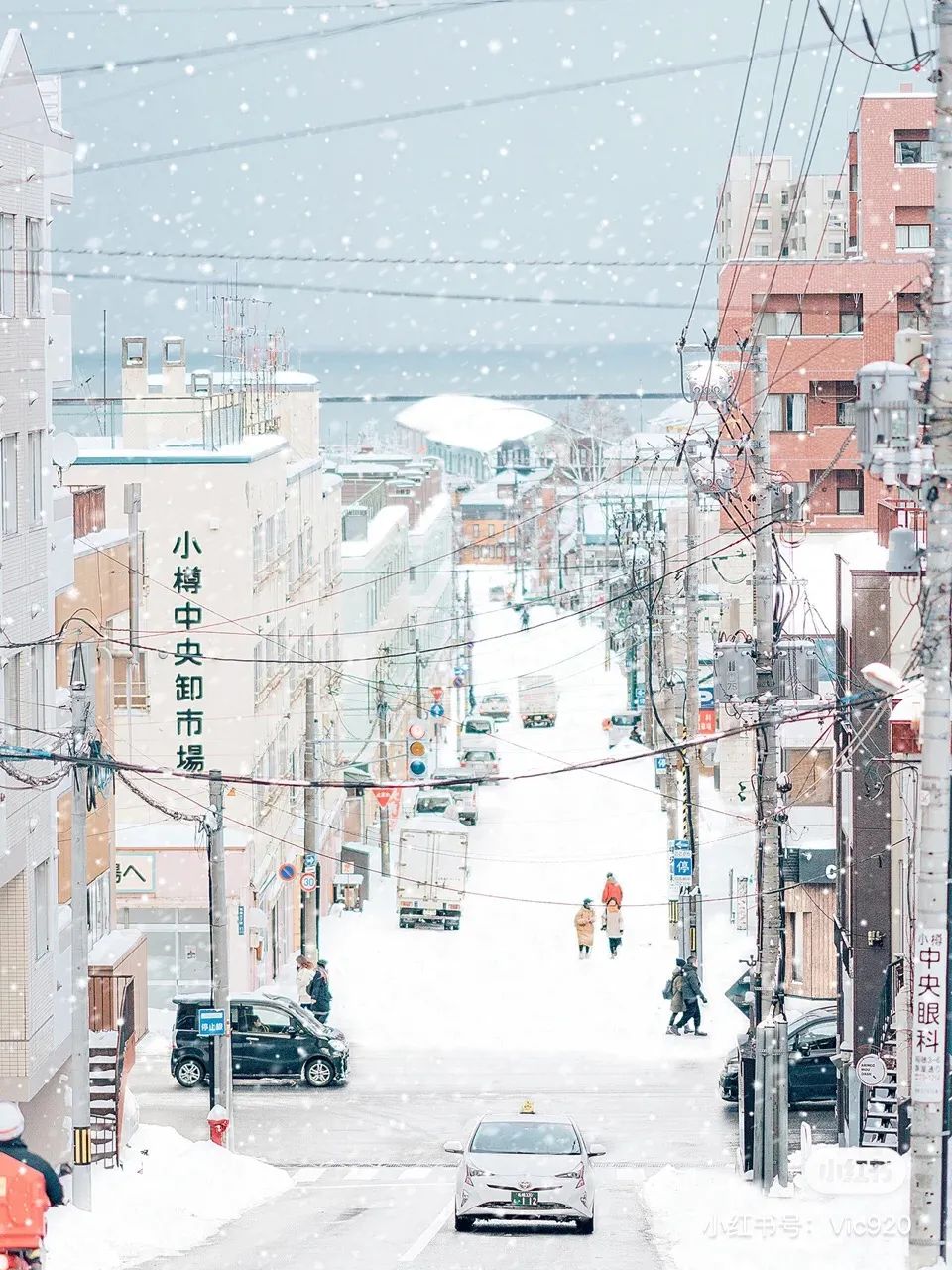 等一个人陪我去北海道看雪