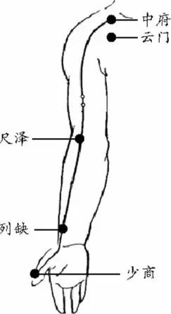 刮痧肺经其实也是超级简单