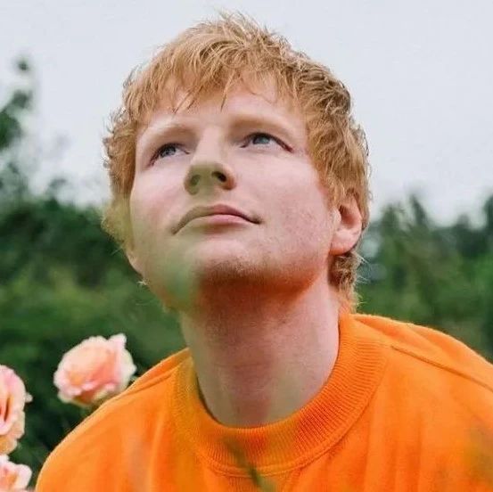 Ed Sheeran 宣布确诊!