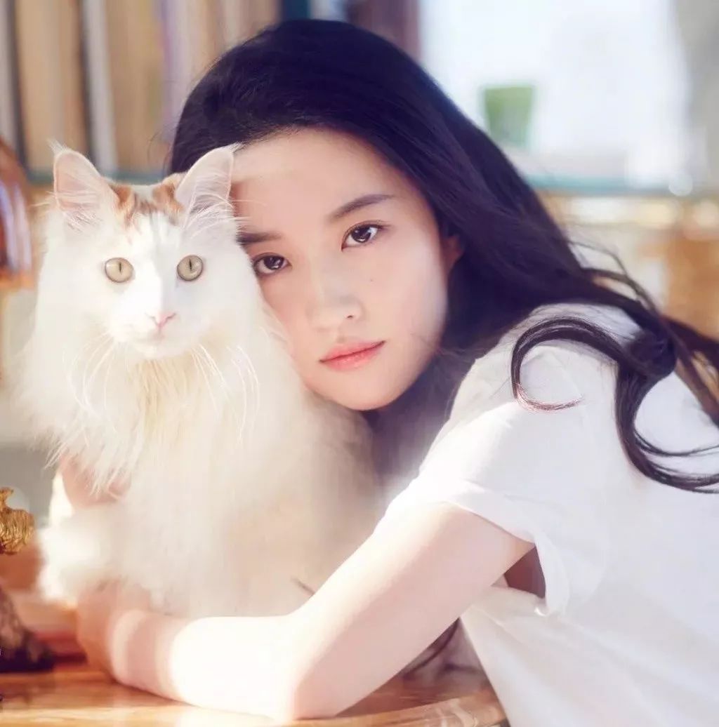 为什么30岁的刘亦菲一组抱猫照片就被评完胜一众女星呢?
