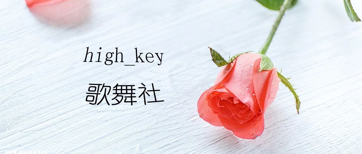 社推 | High-Key歌舞社