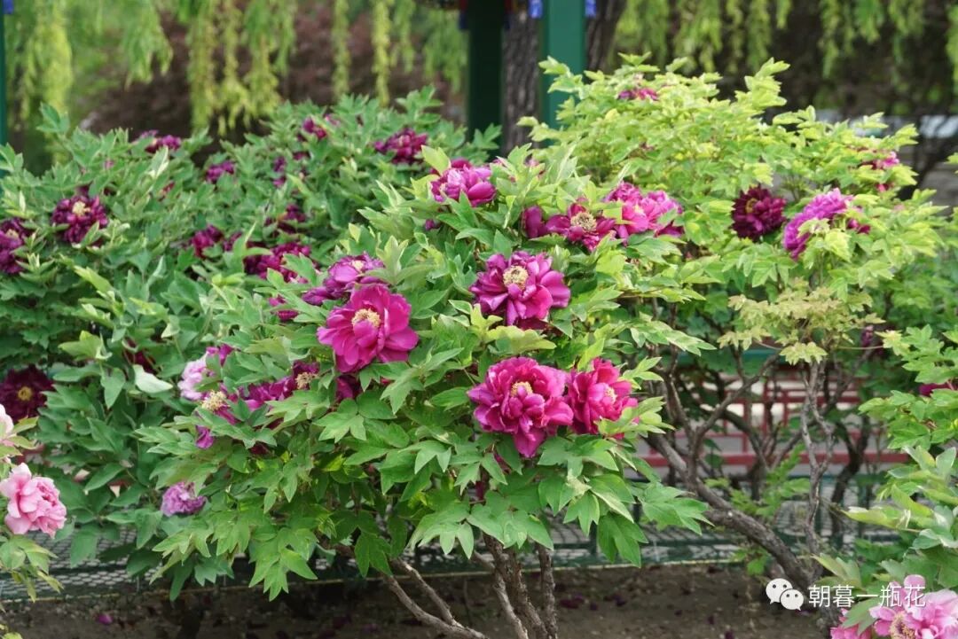 人生不凡，每一天都是旅行。