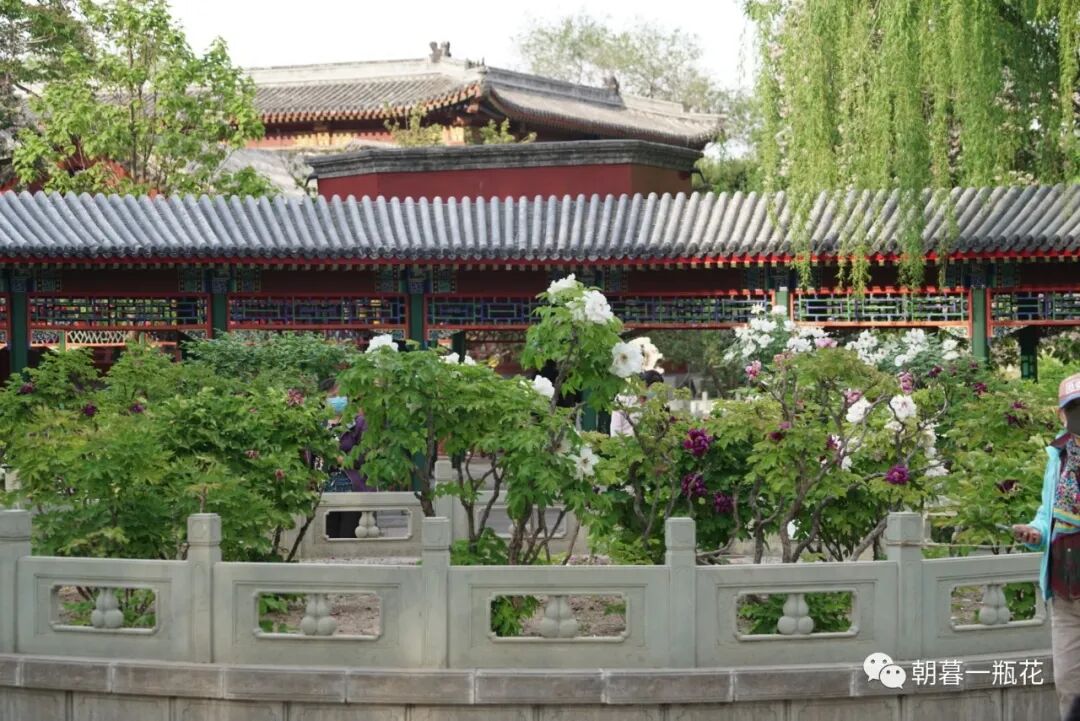 人生不凡，每一天都是旅行。