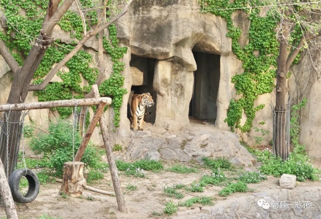 人生不凡，每一天都是旅行。