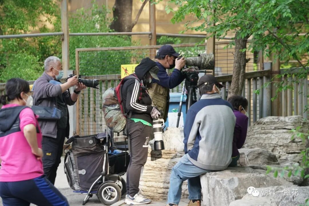 人生不凡，每一天都是旅行。