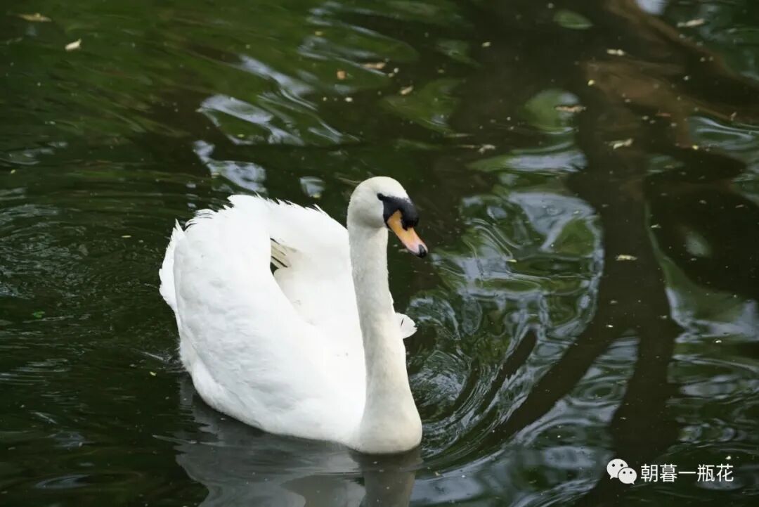 人生不凡，每一天都是旅行。