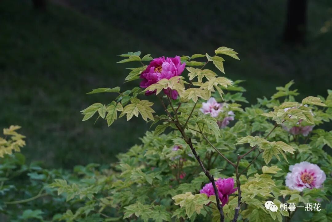 人生不凡，每一天都是旅行。