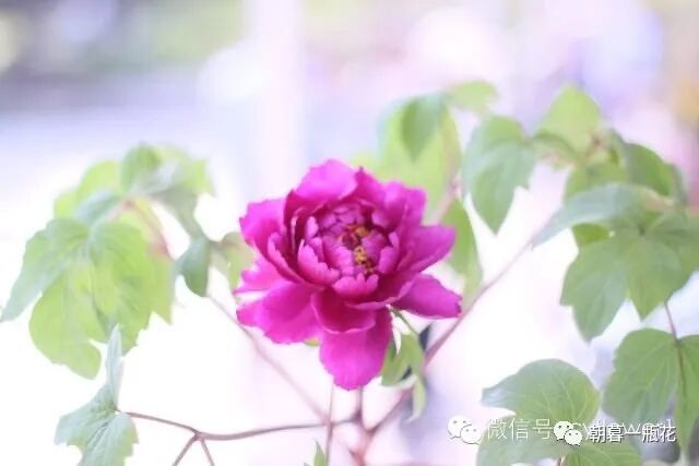 人生不凡，每一天都是旅行。