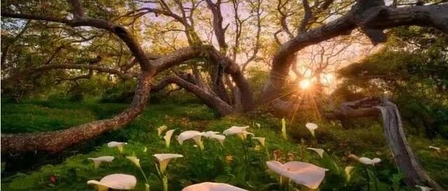 广西扶绥中职学校招聘教师：自由是心灵的翅膀，让我们能够追寻内心的声音，勇敢飞翔。