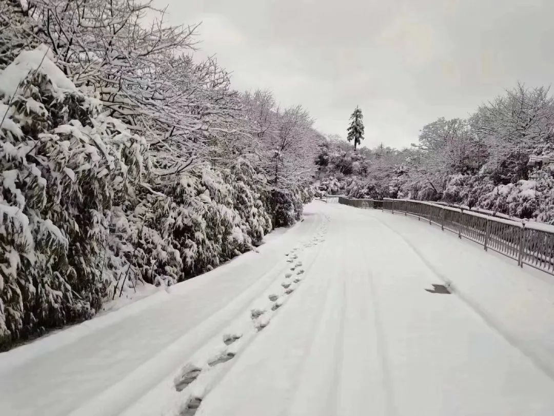 2021重庆金佛山下雪时间及图片