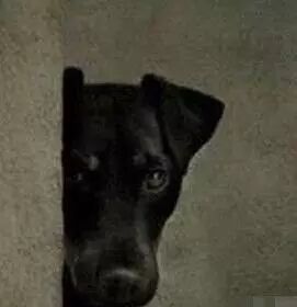 640?wx_fmt=jpeg&tp=webp&wxfrom=5&wx_lazy=1