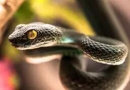 640?wx_fmt=jpeg&tp=webp&wxfrom=5&wx_lazy=1