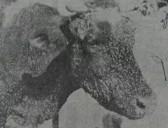 640?wx_fmt=jpeg&tp=webp&wxfrom=5&wx_lazy=1