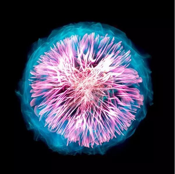 查看微信同步消息