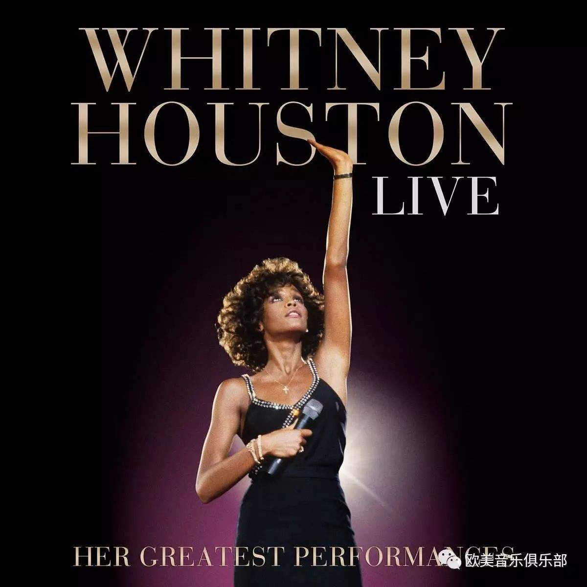 【欧美现场】Whitney Houston Live in Brazil 1994