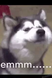 修仙入门教程_ps撤销上一步操作快捷键_修仙从入门到入土