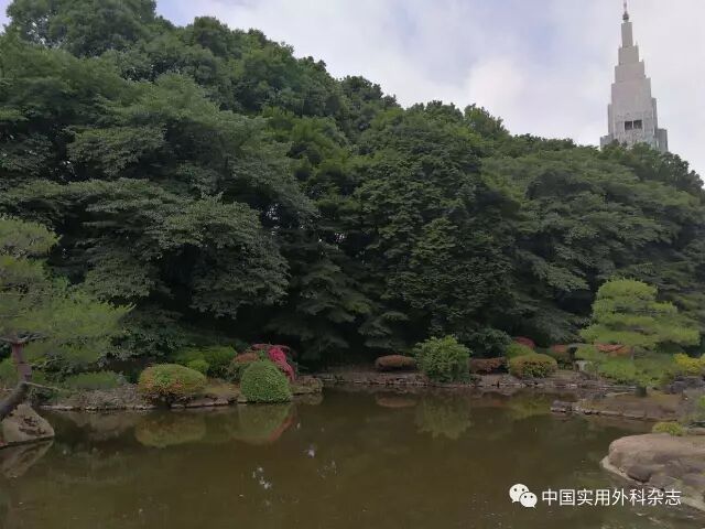 专题笔谈晚期胰腺癌内科治疗策略