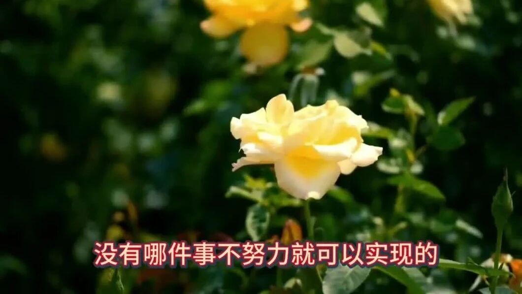 不用打字就可以聊天的图片【中】