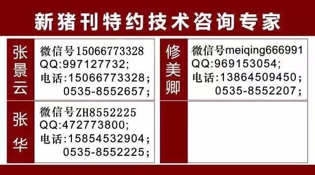 减少母猪“二胎综合征”,不妨试试这些!