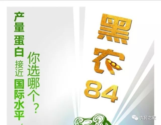 农资黑农84高产高蛋白大豆