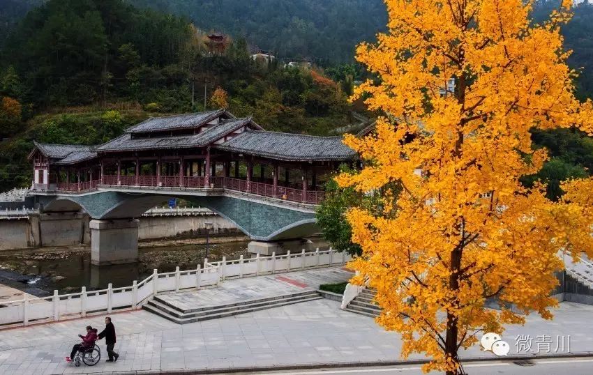 《阴平桥》摄影:刘永健   你站在桥上看风景 , 看风景的人在楼上看你