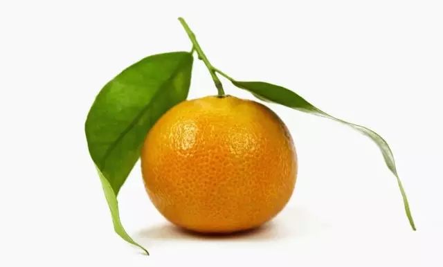 【健康】厉害了我的橘!一个橘子=5味药