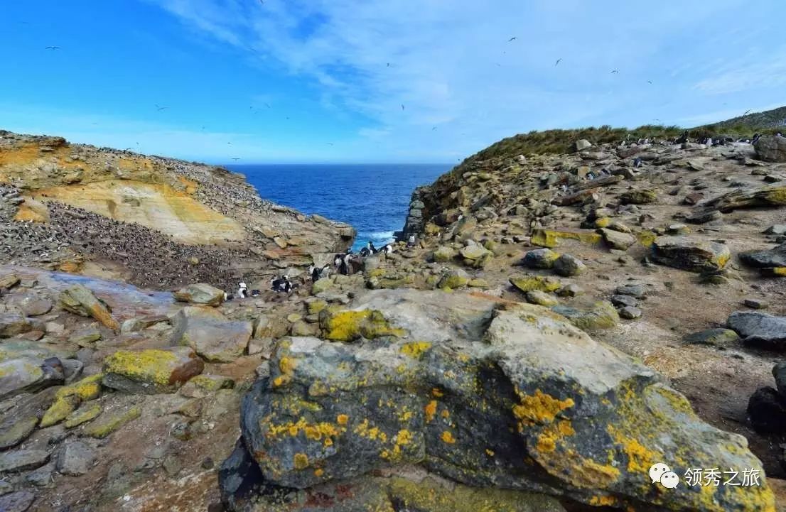 福克兰群岛(falkland islands) 是一位于南大西洋的群岛,包含2个