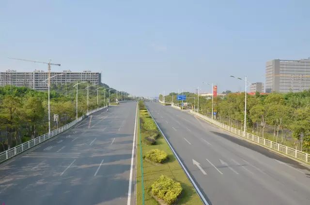 大美光明!这三条景观道路可媲美深南大道!