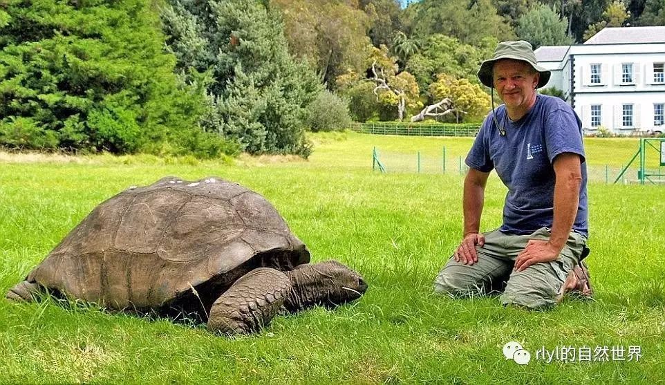 世间最早的生物_世间最早的生物_世间最早的生物