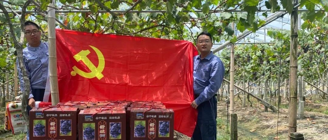 中国广核集团办实事解难题 | 你们的果子，我们收了！