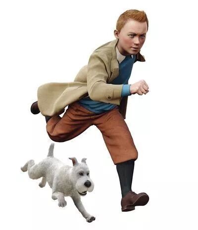 丁丁历险记的狗是什么品种的狗_丁丁历险记那只狗什么品种_丁丁历险记的狗是什么品种