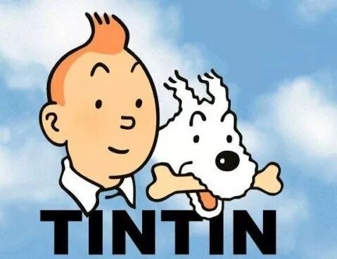 丁丁历险记的狗是什么品种的狗_丁丁历险记那只狗什么品种_丁丁历险记的狗是什么品种