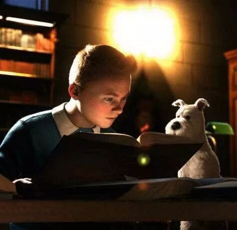 丁丁历险记的狗是什么品种的狗_丁丁历险记的狗是什么品种_丁丁历险记那只狗什么品种