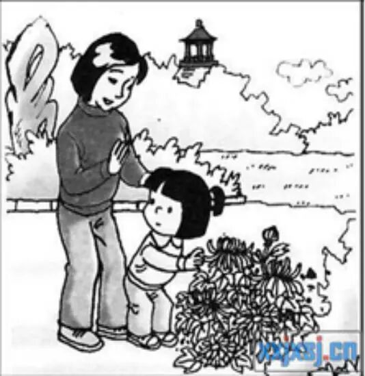 一年級語文看圖寫話專項練習