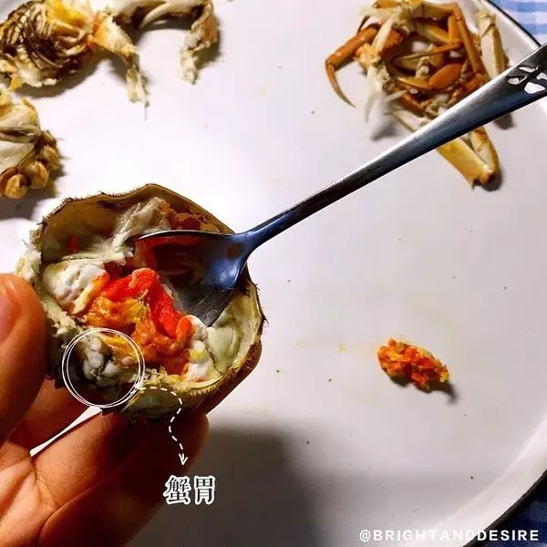 教你优雅吃蟹——清蒸大闸蟹及蟹的解剖|无锡冰冻螃蟹