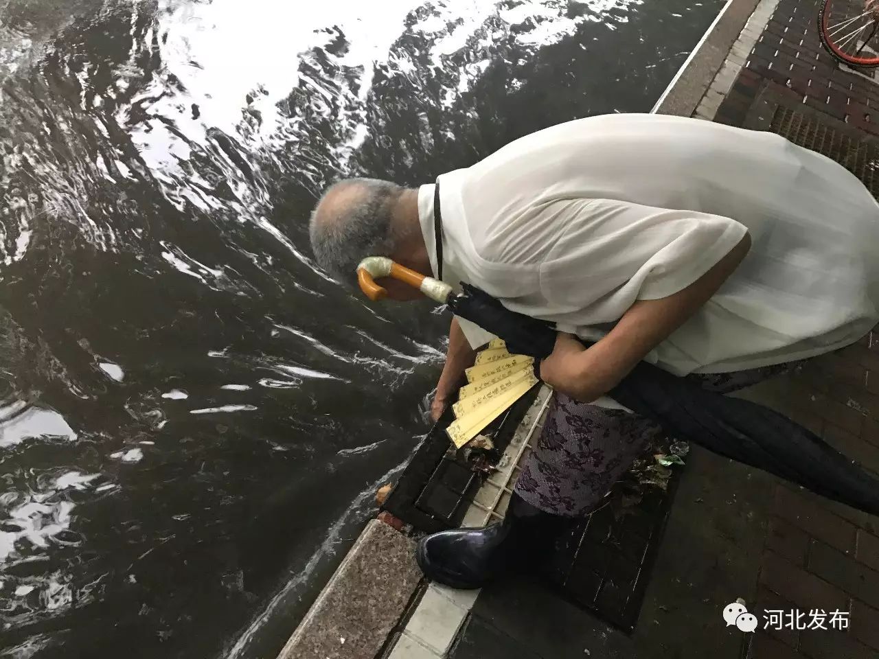 当网友@夏有乔木从这过时,这个老大爷正穿着雨鞋在路边下水道旁躬身