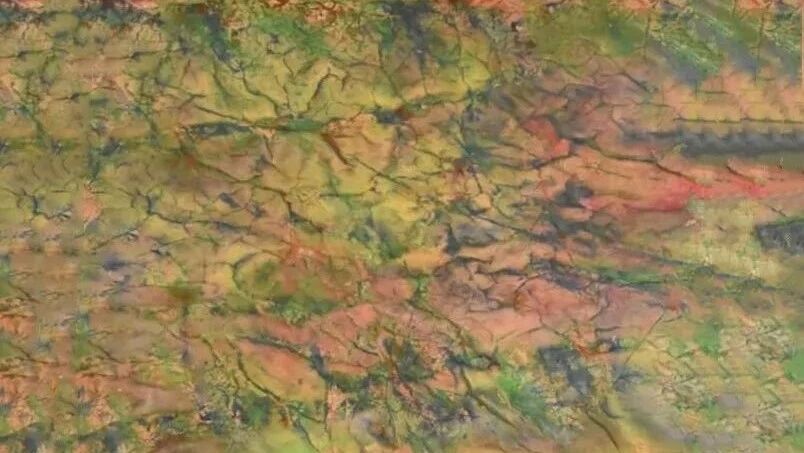 徐冬冬画悟四季:清明•桐始华,天地澄澈心也澄澈