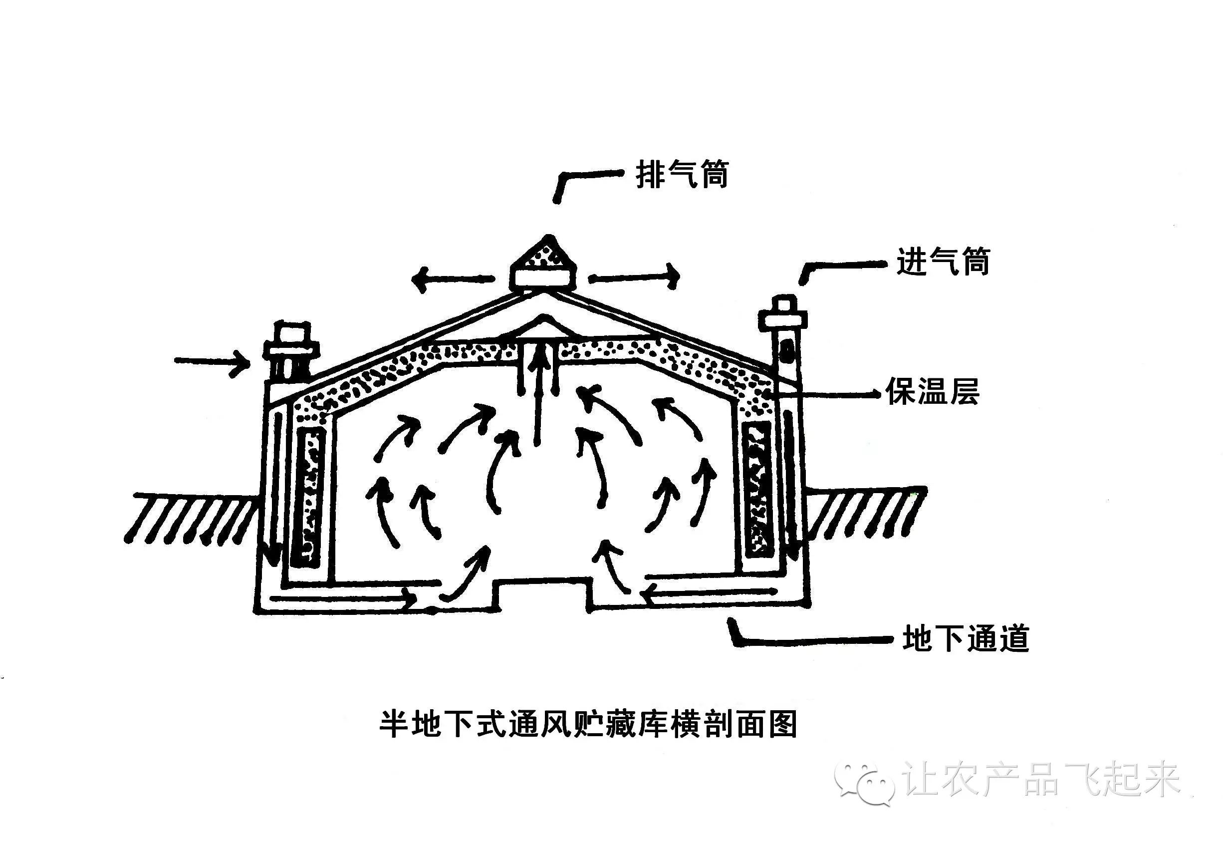 半地下式通风贮藏库剖面图