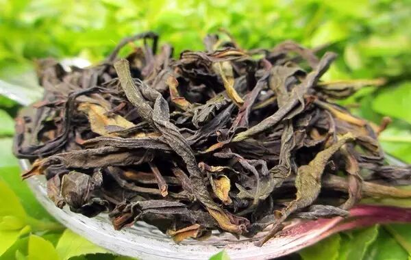 知识 | 走出误区，不是所有茶叶都适合放冰箱！