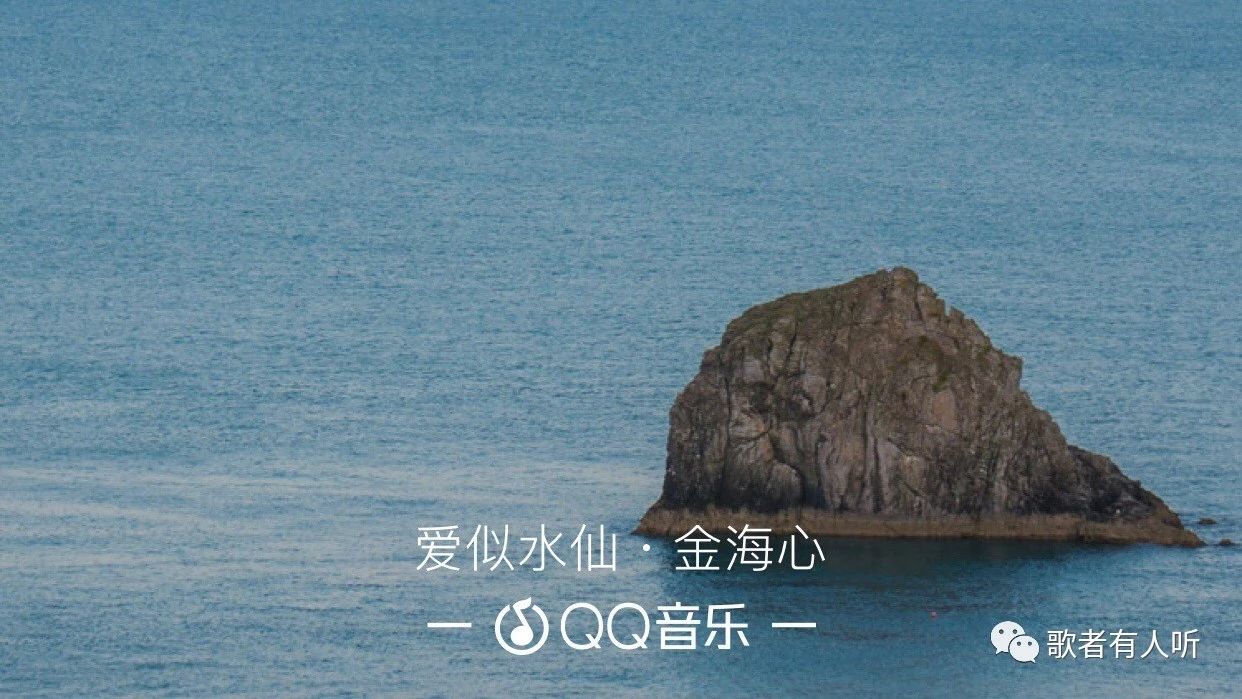 《爱似水仙》金海心