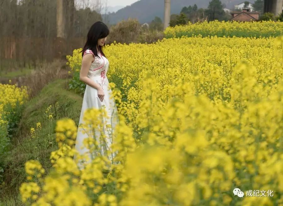 女人如花