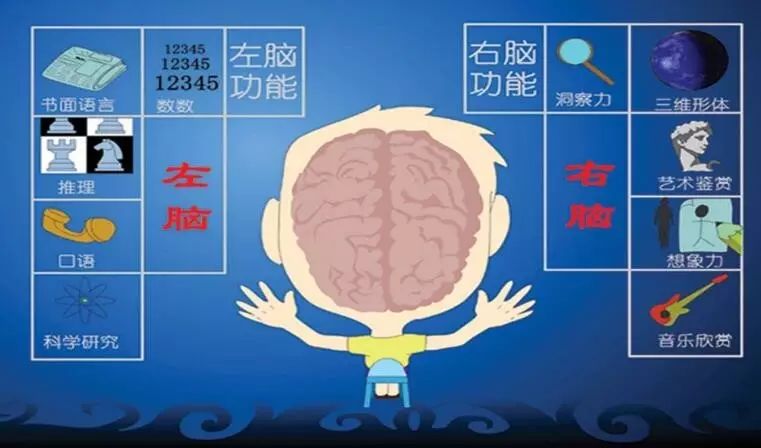 【测试】左右脑优势测试:你哪个小脑更聪明?