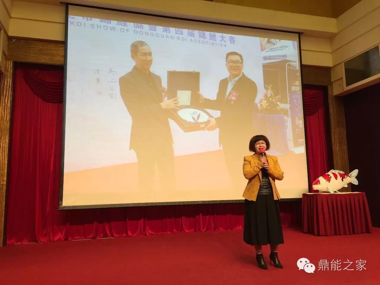 【12月精彩赛事回顾】贺第一届中国国际锦鲤大赛暨东