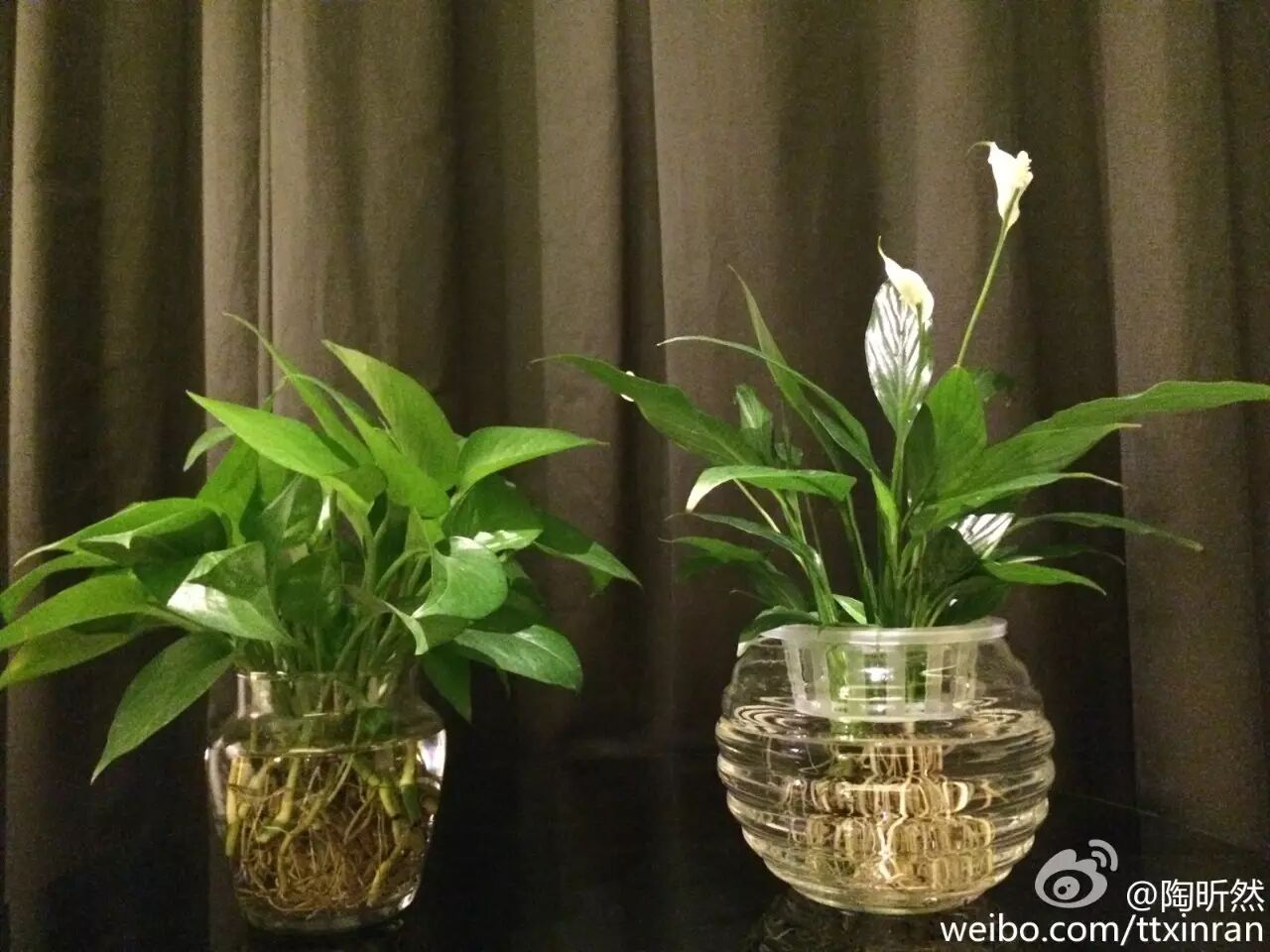 ＂安陵容＂快要生娃啦!怀孕九个月带球做客《拜托了妈妈》-怀孕期